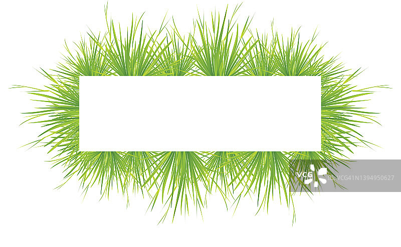 新鲜的绿草旗帜孤立在白色的背景图片素材