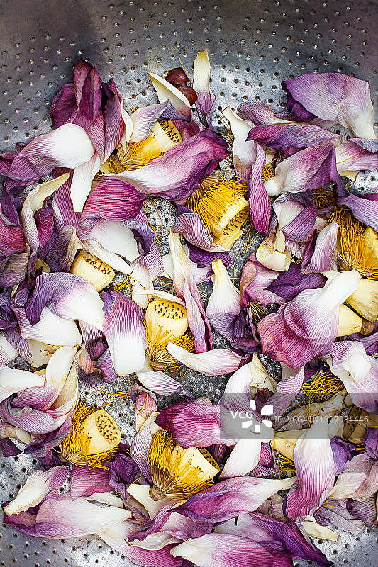 院子里晒紫荷花头和花瓣图片素材