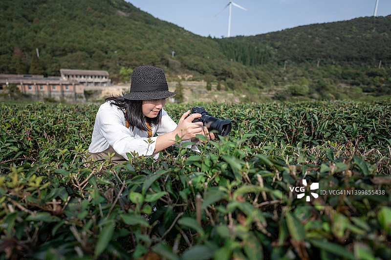 一位亚洲女性农业工人用相机拍摄了一棵茶树图片素材