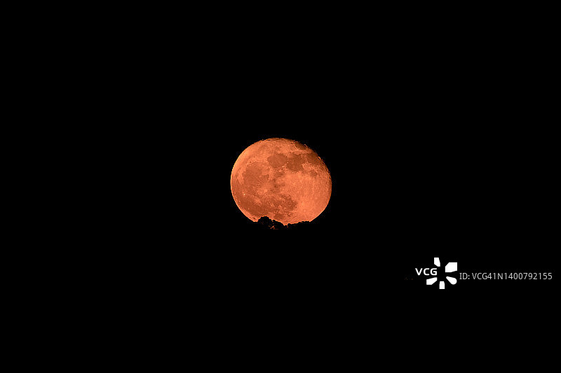 红月亮，血月亮在晚上穿过树林，万圣节图片素材