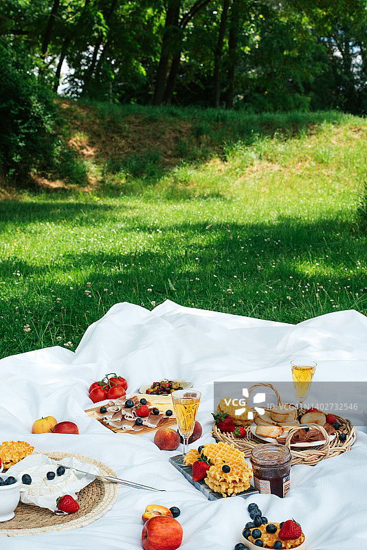 在大自然中享受美味健康的食物。很好地野餐。食物在自然界中。野餐用的水果、蔬菜、奶酪、火腿和面包丁。花时间在户外。铺在草地上的白色桌布或床单俯瞰野餐。图片素材
