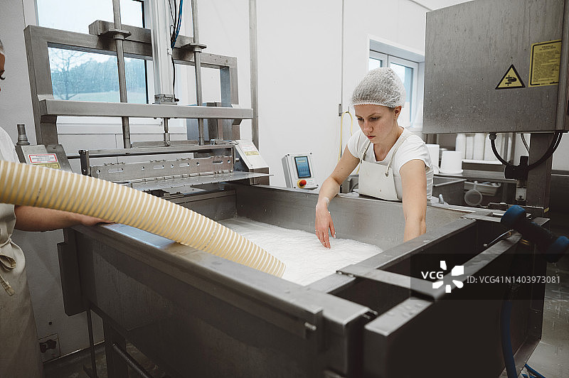 女工把她的手放在牛奶里-在乳制品公司图片素材