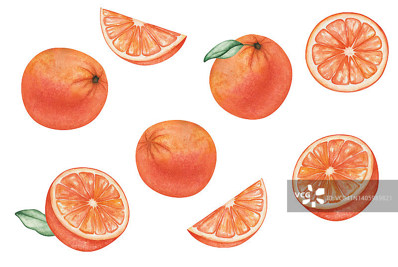 水彩插画手绘橘子，葡萄柚，橘子圆，切，切绿叶。热带citruis水果。新鲜果汁成分。维生素c。食物的单独剪贴画图片素材