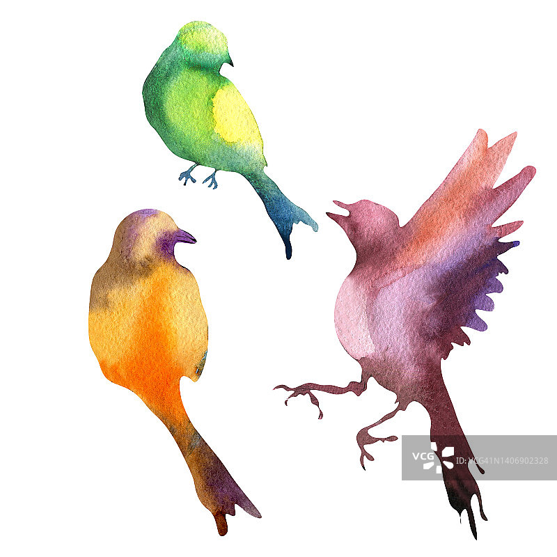 彩色鸟剪影水彩插图在白色背景。图片素材
