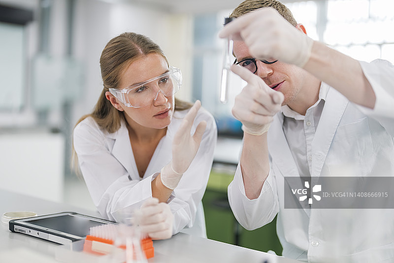在实验室工作的科学家们在试管中目视分析化学物质。图片素材