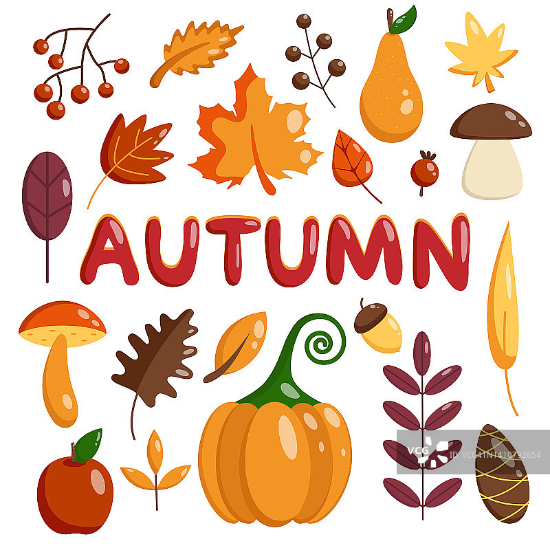 秋季元素集。矢量平收集秋叶和森林图标。秋叶、香菇、南瓜、橡子、白蜡树、枫树。图片素材