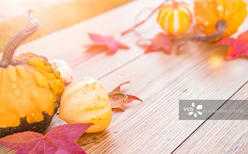 木桌南瓜和树叶的秋季装饰图片素材