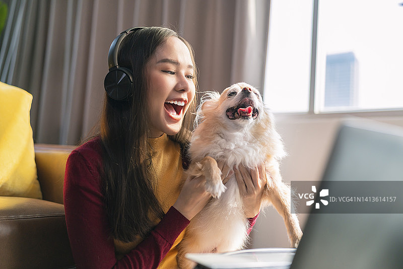 幸福快乐的亚洲女性抱着年老的吉娃娃哈巴狗用平板电脑视频打电话给她的朋友和家人进行距离对话，女性和狗一起在家里度过假期图片素材