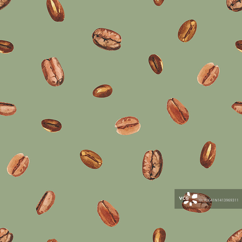 水彩手绘咖啡豆。咖啡树。咖啡浆果的成熟。图片素材
