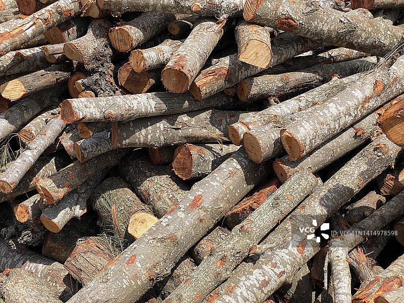泰国，蒸汽锅炉用木材堆图片素材
