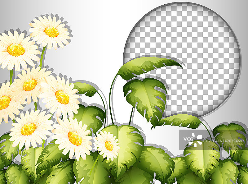 圆形框架透明与热带花卉和树叶模板图片素材