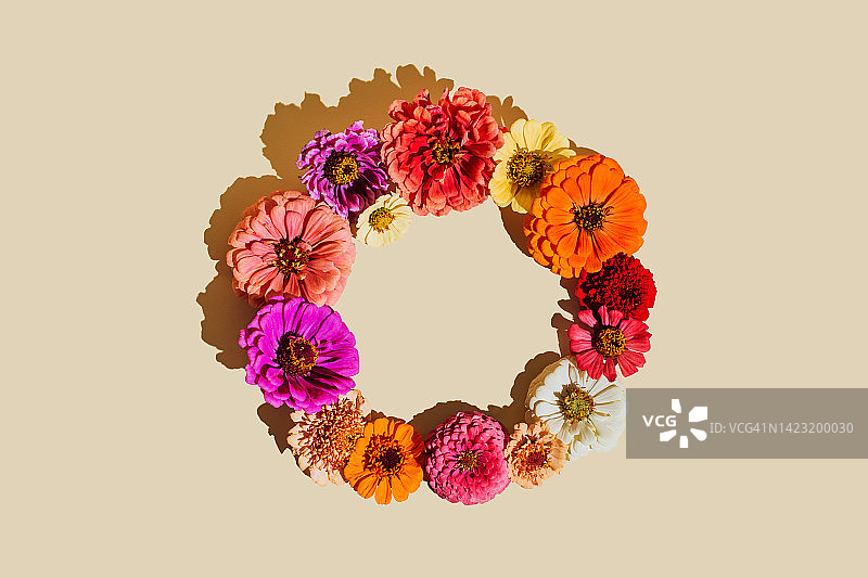 花组成。用各种鲜艳的秋季花朵在米色背景上制成的花环。平铺，俯视图，复制空间图片素材