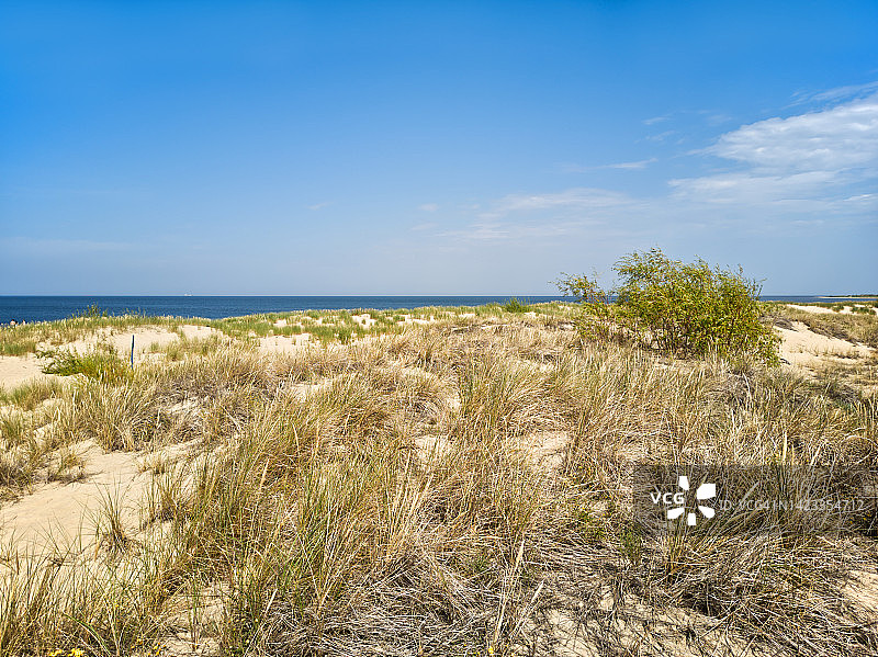 波罗的海海滩旁边的沙丘。图片素材