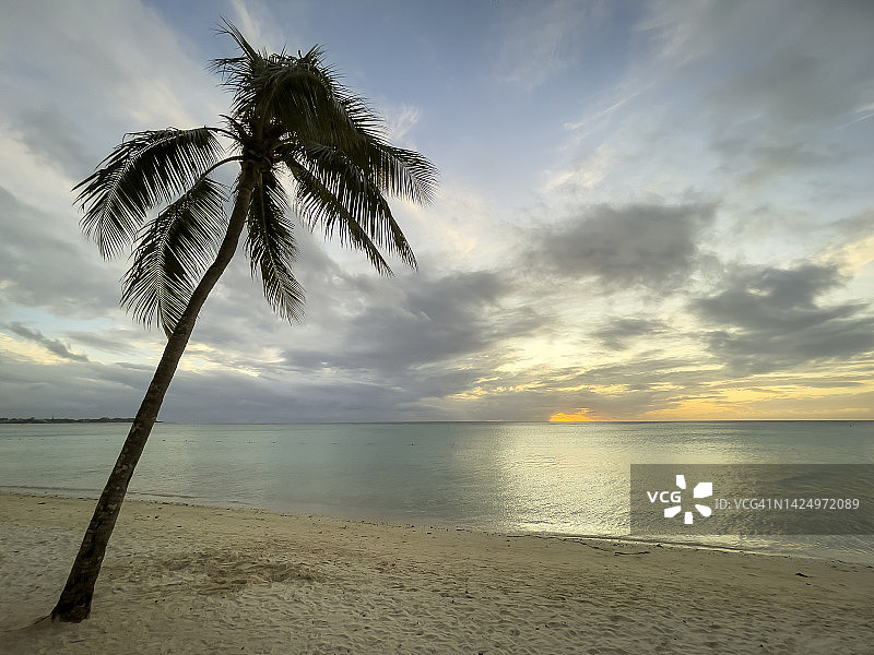 勇敢辅助打捞母锥。毛里求斯，热带异国情调的海滩，棕榈树和清澈的蓝色海水图片素材