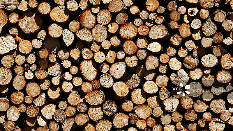 在上萨瓦的依云勒班斯，人们把原木堆放起来，用作冬天的柴火图片素材