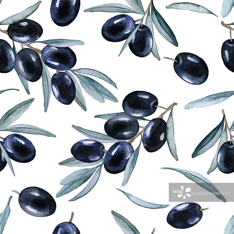 成熟的黑橄榄和白色背景上的叶子的无缝模式。手画水彩。图片素材