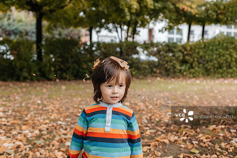 秋天，蹒跚学步的小男孩在公园里玩飘落的黄叶图片素材