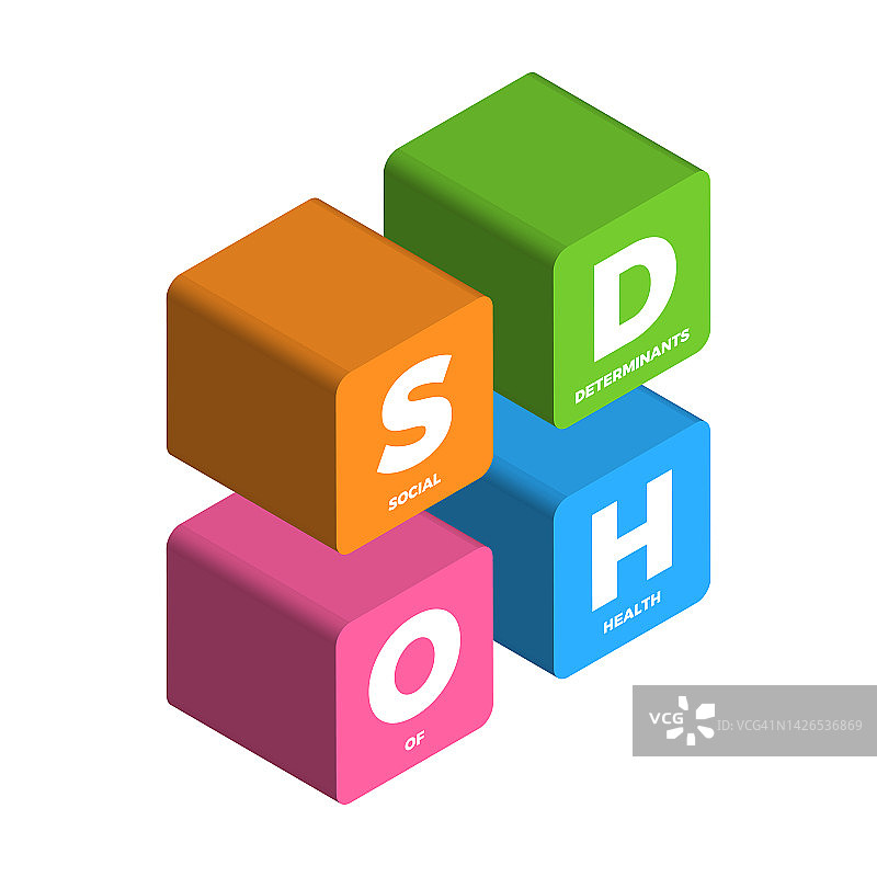 SDOH——健康的社会决定因素——病媒信息图说明图片素材