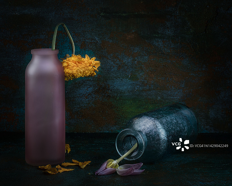 静物与玻璃花瓶和凋谢的花朵图片素材
