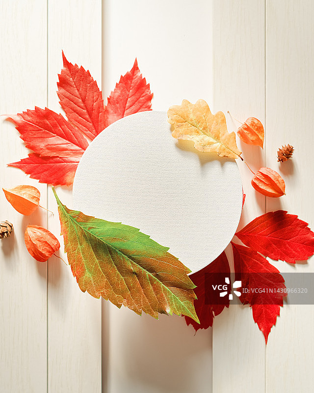 上面是一个圆形的纸框，黄色、红色、绿色的落叶和酸浆花，白色的木制背景。秋天，秋天，感恩节的概念。平的。前视图。副本的空间。图片素材