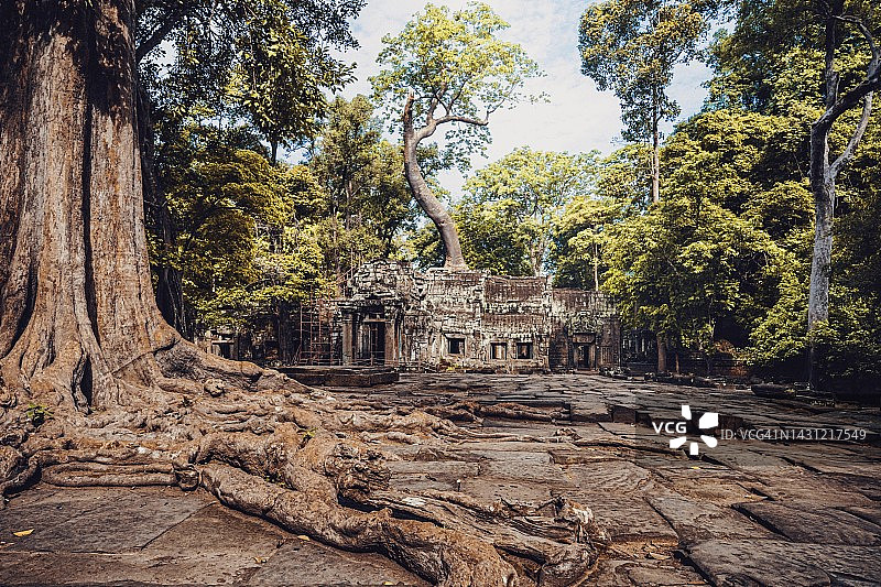 柬埔寨吴哥窟高棉寺的风景图片素材
