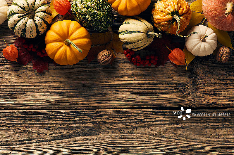秋收平铺。顶视图南瓜，葫芦在木桌上。感恩节横幅设计。图片素材