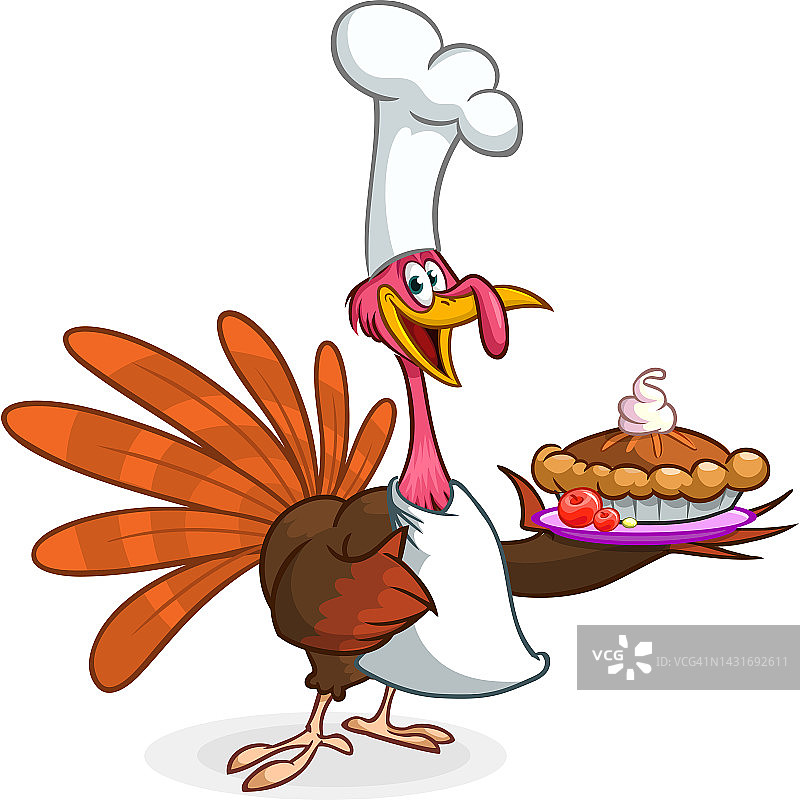 卡通快乐可爱的感恩节火鸡鸟。矢量插图孤立。感恩节设计图片素材