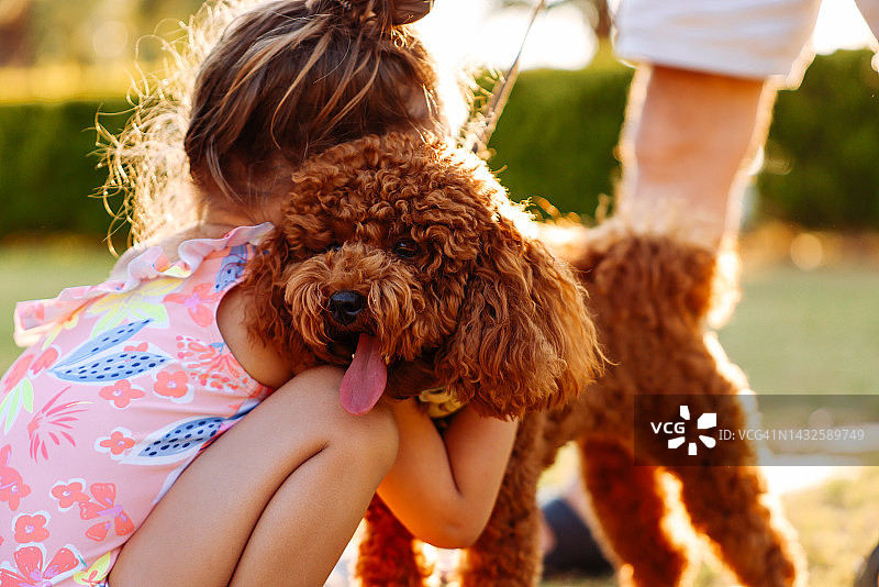 可爱的女孩带着一只漂亮的狗在自家花园里散步图片素材