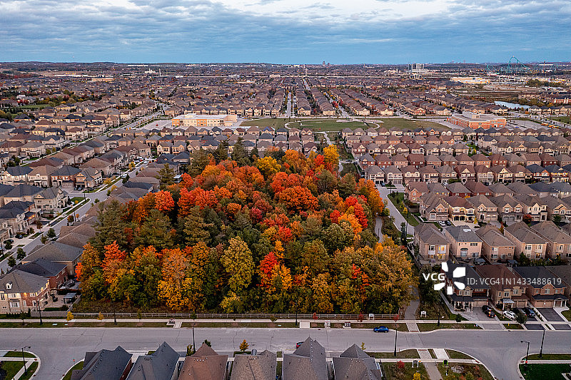多色树叶在戛纳社区公园和麦肯齐博士秋天，伍德布里奇，加拿大图片素材