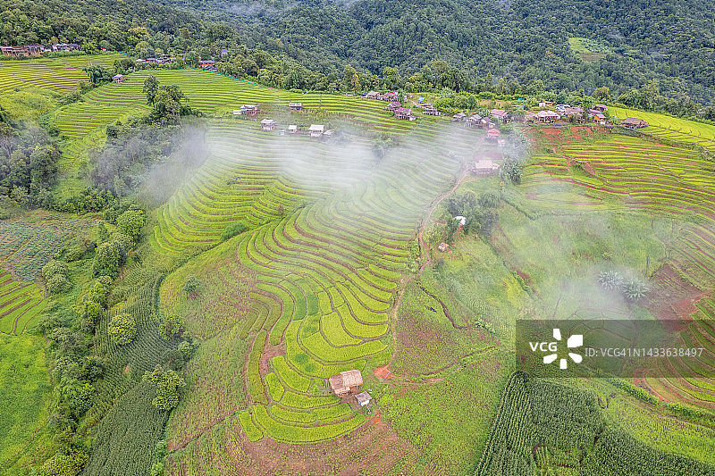 泰国清迈Ban pa bong piang的水稻梯田，从空中俯瞰雨水和雾图片素材