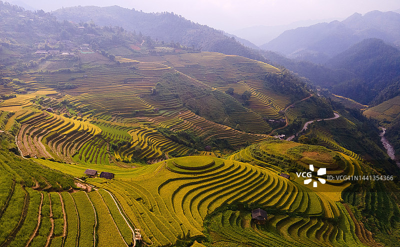 越南稻田的鸟瞰图图片素材