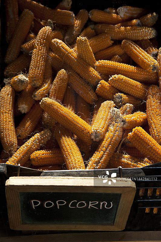 农贸市场的玉米棒图片素材