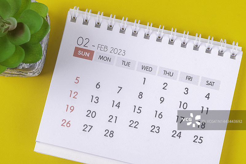 2023日历台:2月是组织者的一个月，用黄色纸背景的室内植物计划和截止日期。图片素材