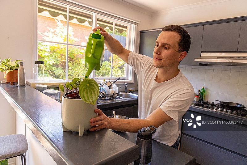 快乐的男人在家里给厨房里的植物浇水图片素材