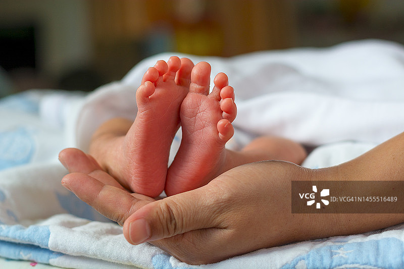 新生儿的脚在父母的手里图片素材
