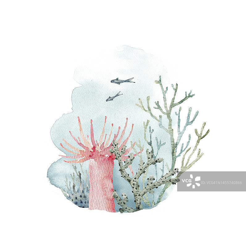 水彩背景上的海珊瑚和藻类。图片素材