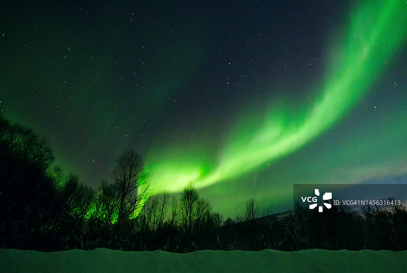 美丽的北极光，挪威罗弗敦的北极光图片素材