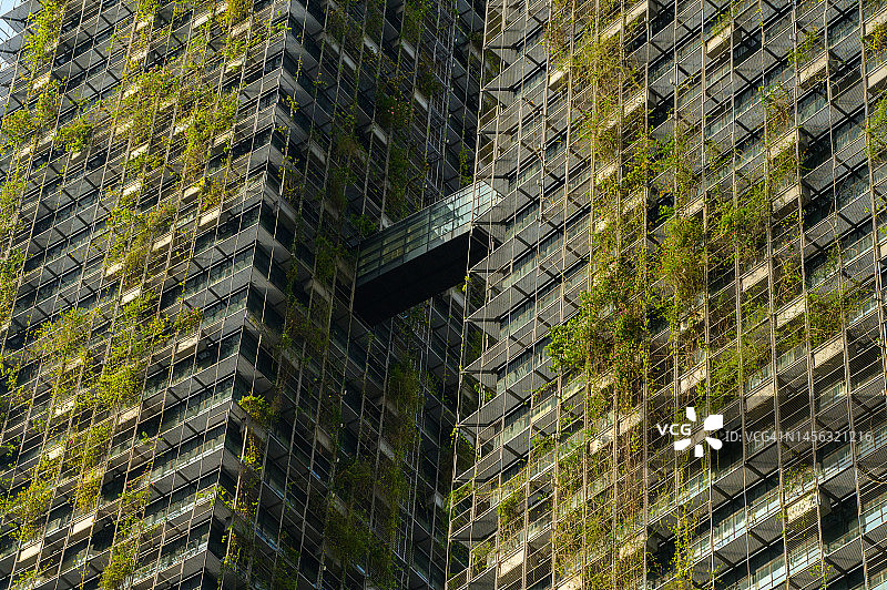 城市绿色生态建筑，绿色建筑图片素材