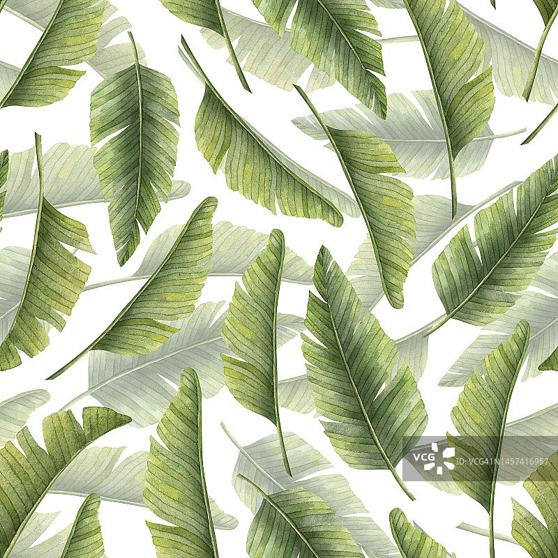 无缝水彩图案与异国情调的热带棕榈叶孤立的背景。手工绘制装饰与夏季绿色树枝纺织设计或包装纸。植物彩色印花图片素材