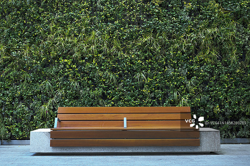 长凳靠在植物装饰的墙上图片素材