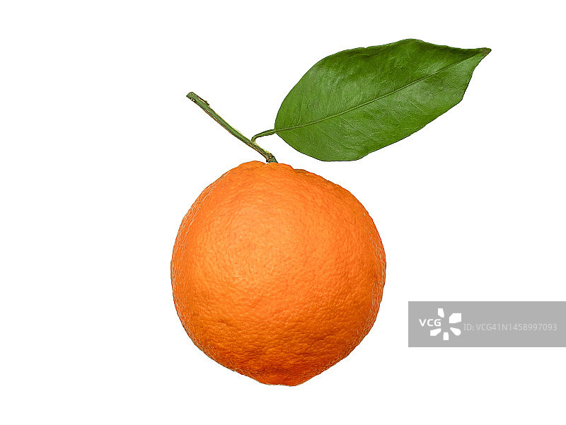橙色孤立在白色上图片素材