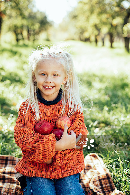 秋天，孩子们在农场摘苹果。小女孩在苹果园里玩耍。健康营养图片素材