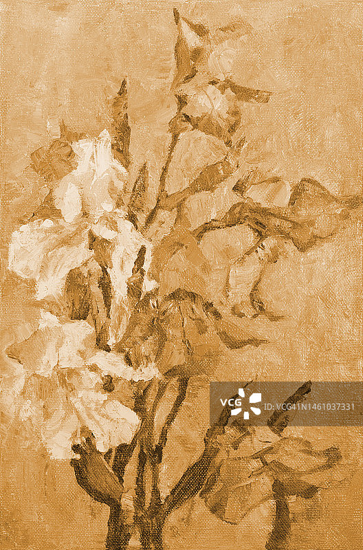 插图艺术作品油画花卉景观盛开的鸢尾花在棕褐色的背景图片素材