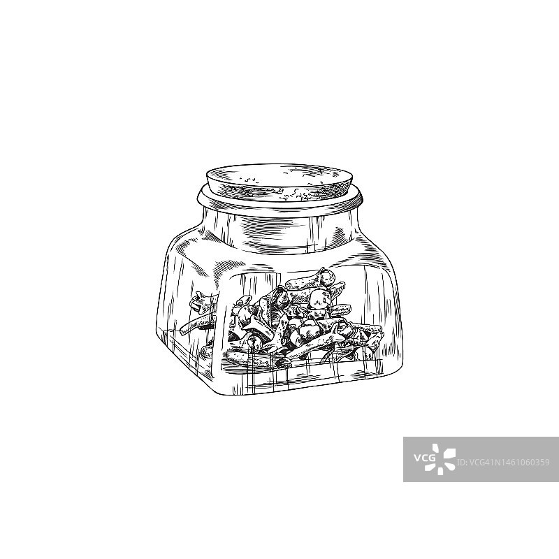 手绘单色玻璃罐与干丁香香料素描风格图片素材