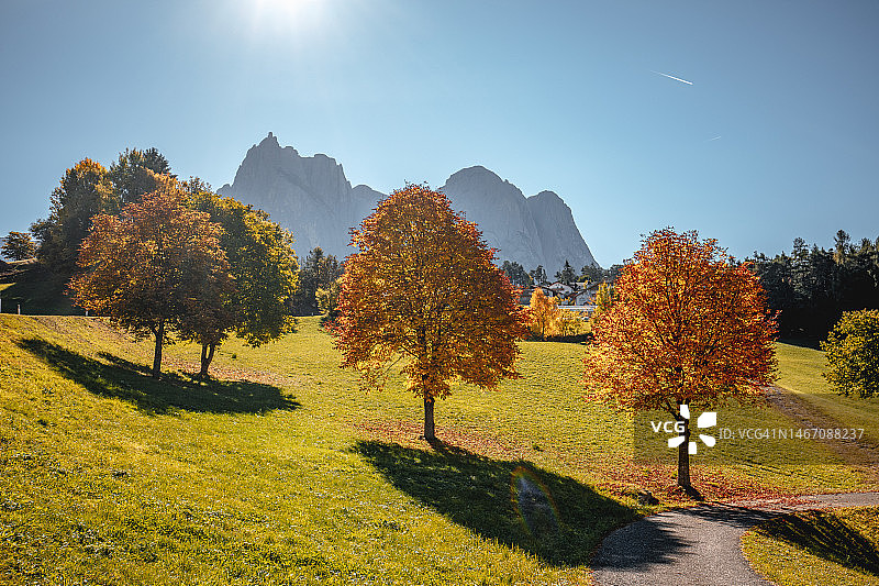 意大利白云石阿尔卑斯山脉五颜六色的树木和小径的秋天风景图片素材