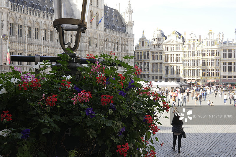 远景的“大广场”在布鲁塞尔，比利时天竺葵在前景图片素材
