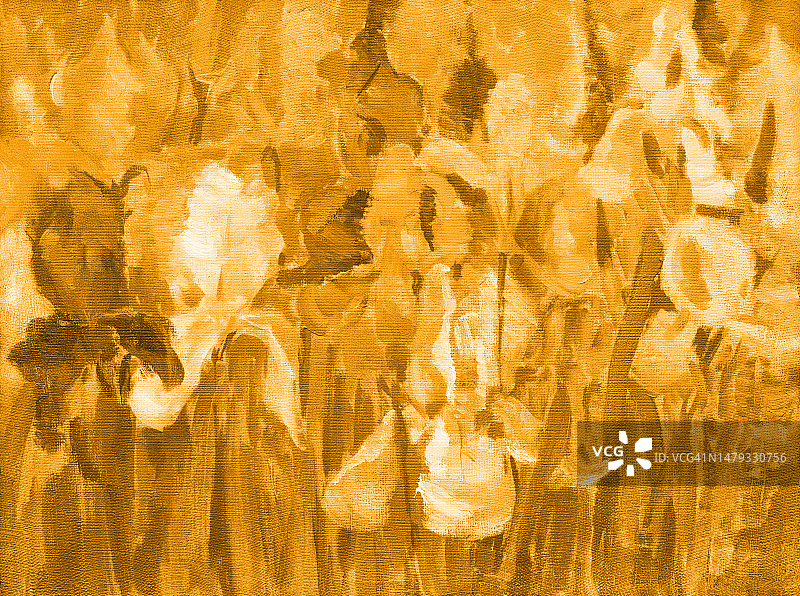 插图油画在深褐色的风景花鸢尾花盛开在花坛上图片素材