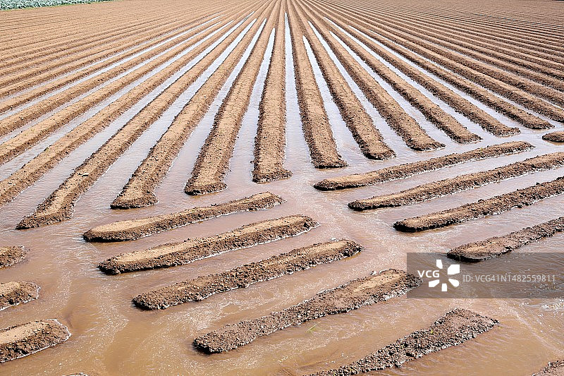 农田用传统方式灌溉图片素材
