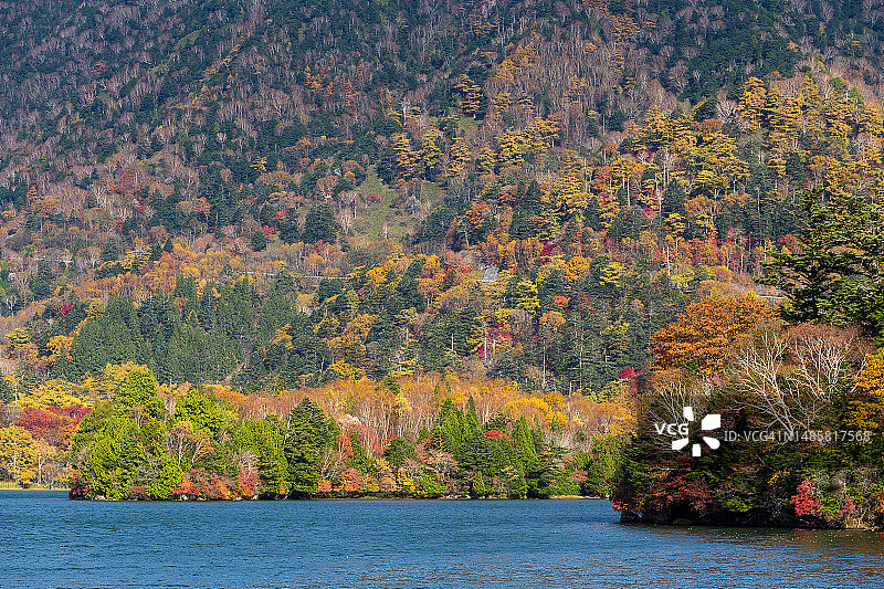 秋天，罗马尼亚森林里的湖泊风景图片素材
