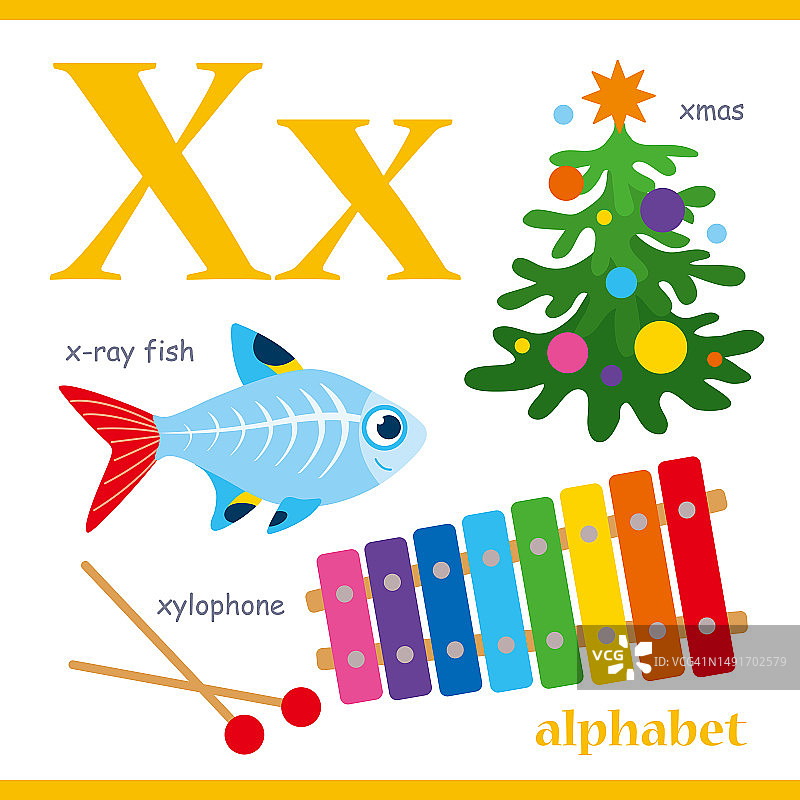 用卡通词汇说明字母X:圣诞节，木琴，X光鱼。可爱的儿童ABC字母卡，有字母X，适合孩子学习英语词汇。图片素材